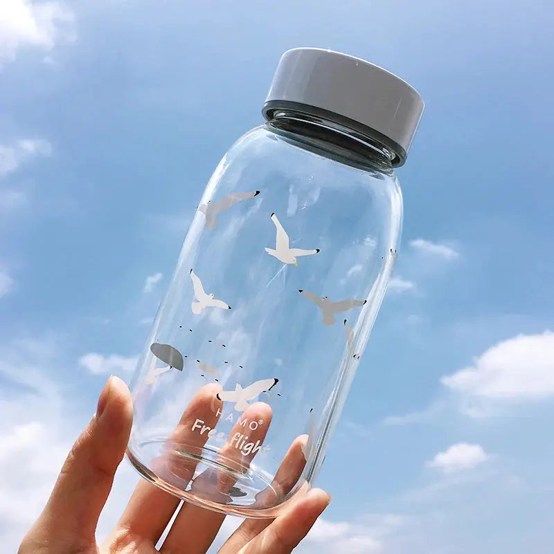 Gourde d'Eau en Verre Borosilicate avec Manchon 600ml